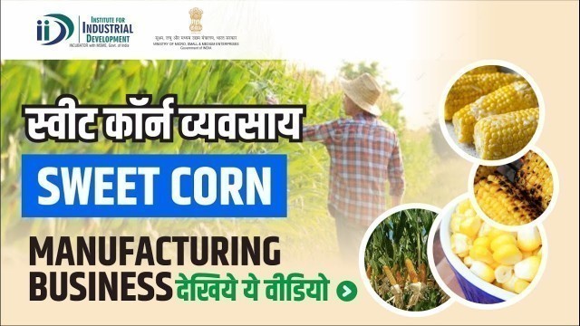 'शुरू करे स्वीट कॉर्न बनाने का व्यवसाय || Start Sweet Corn Processing Business'