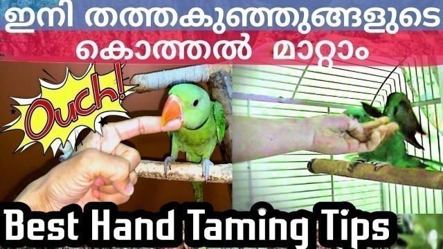 'How To Stop Baby Parrots biting Malayalam|ഇനി തത്തകുഞ്ഞുങ്ങൾ നിങ്ങളെ കൊത്തില്ല#parrotshandtaming'