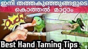 'How To Stop Baby Parrots biting Malayalam|ഇനി തത്തകുഞ്ഞുങ്ങൾ നിങ്ങളെ കൊത്തില്ല#parrotshandtaming'