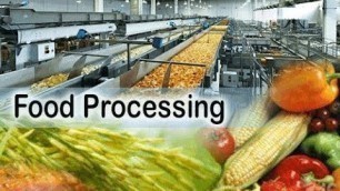 'Food Processing Industry: Concepts, Issues and Its Scenario in India'