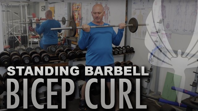 'Strength Training : Standing Barbell Bicep Curl with Global Fitness Institute'