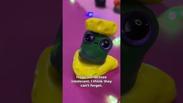 'Tiny froggy fashion show #shorts #kawaii #polymerclay #funny #miniature'