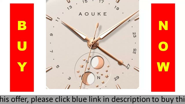 '✓ AOUKE Men Automatic Watches Luxury Watch For Men Fashion Self Wind Mechanical Wristwatches Waterp'