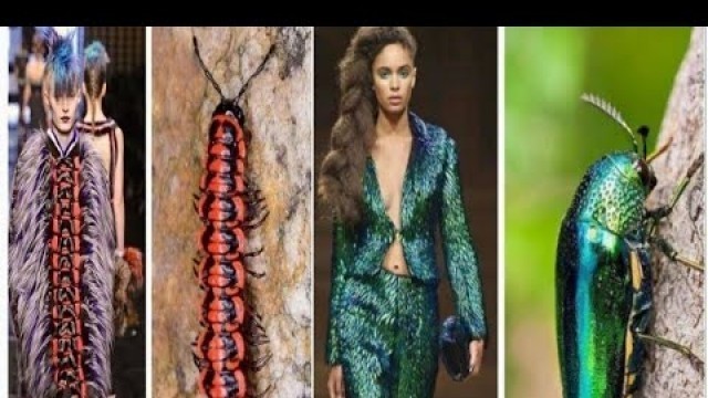 'Unique creative fashion|| Fashion dresses#Shots#'