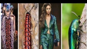 'Unique creative fashion|| Fashion dresses#Shots#'