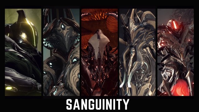 'Waframe | Sanguinity | Fashion Frame | Cinematic'