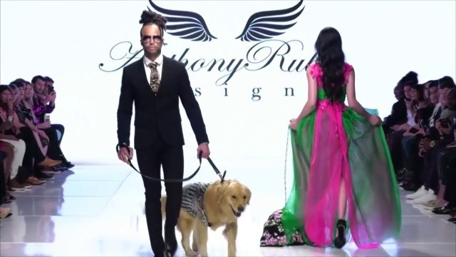 'Anthony Rubio On MSN News Latino! LA Fashion Week - Dog Fashion + Women\'s Wear'