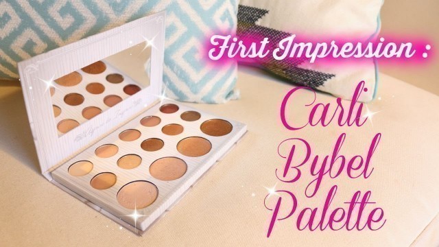 'CARLI BYBEL PALETTE : First Impression, Swatches & Demo! | Syaf Othman'