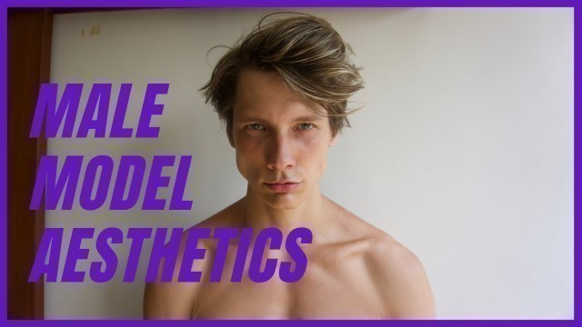 'The 3 Keys To Building An Aesthetic Male Model Physique | Austin Wayne'