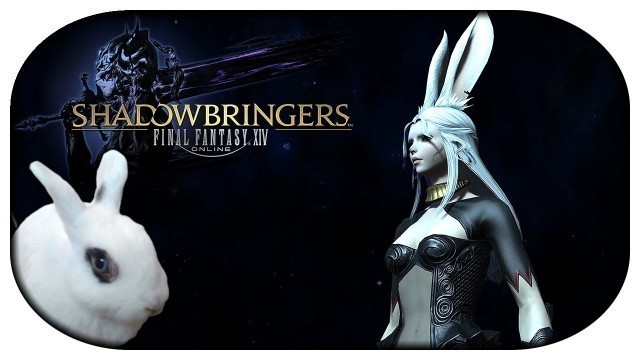 'FINAL FANTASY XIV 